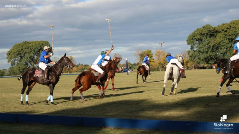 Lee más sobre el artículo Semana de Polo en Young con la participación de 70 deportistas en homenaje a David Stirling
