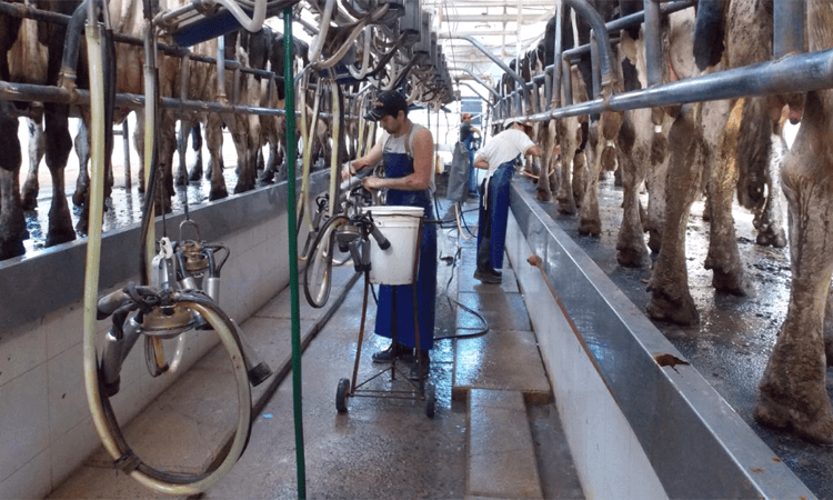 Lee más sobre el artículo El aporte del trabajo rural en favor del desarrollo