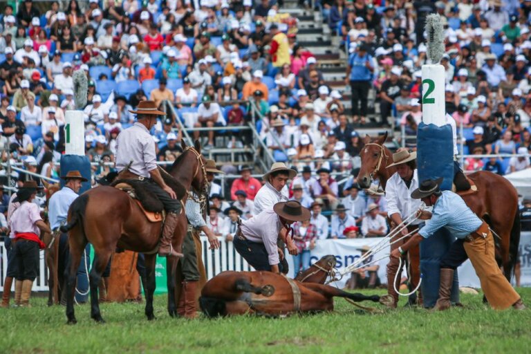 Lee más sobre el artículo Caballos, montas y destrezas en la semana más Criolla del año