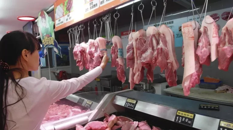 Lee más sobre el artículo La carne en Brasil en récord tras récord