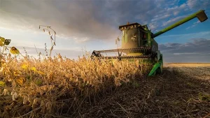 Lee más sobre el artículo La cosecha avanza con satisfaccion en los kilos y gusto a poco en los precios