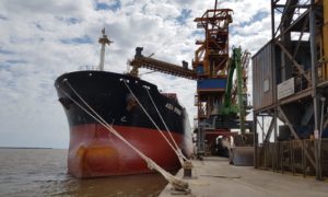 Lee más sobre el artículo La cosecha de soja promete récord de exportaciones desde Nueva Palmira