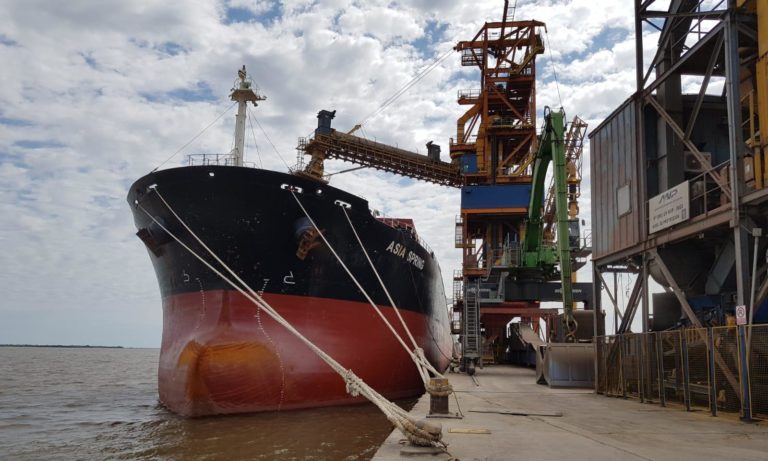 Lee más sobre el artículo La cosecha de soja promete récord de exportaciones desde Nueva Palmira