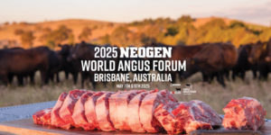 Lee más sobre el artículo Los criadores de Angus muestran su aporte en el mejor momento de la carne
