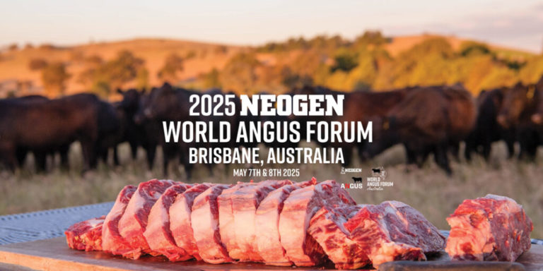 Lee más sobre el artículo Los criadores de Angus muestran su aporte en el mejor momento de la carne