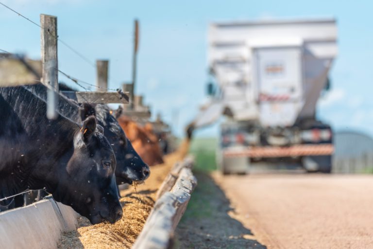 Lee más sobre el artículo Agronegocios del Plata consolida la producción sustentable de carne premium