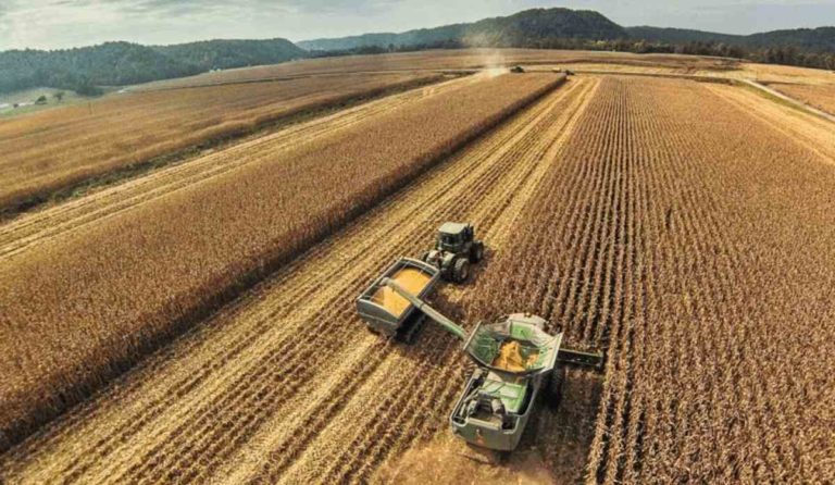 Lee más sobre el artículo La zafra de soja con cifras récord impulsa el optimismo agrícola de cara al invierno