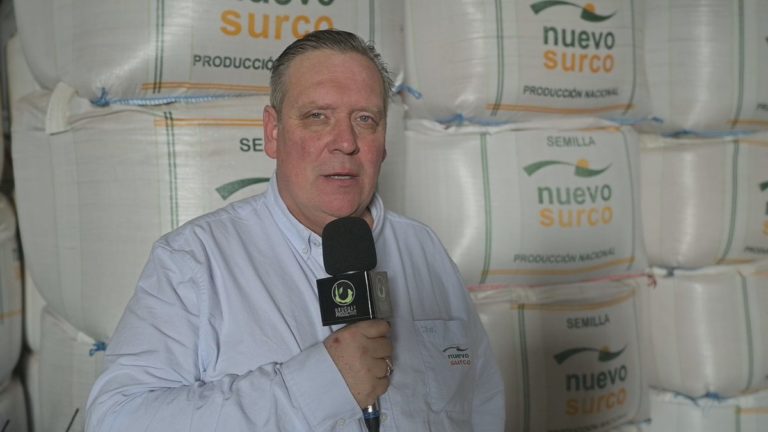Lee más sobre el artículo Cosecha de soja enfrenta los precios internacionales bajos
