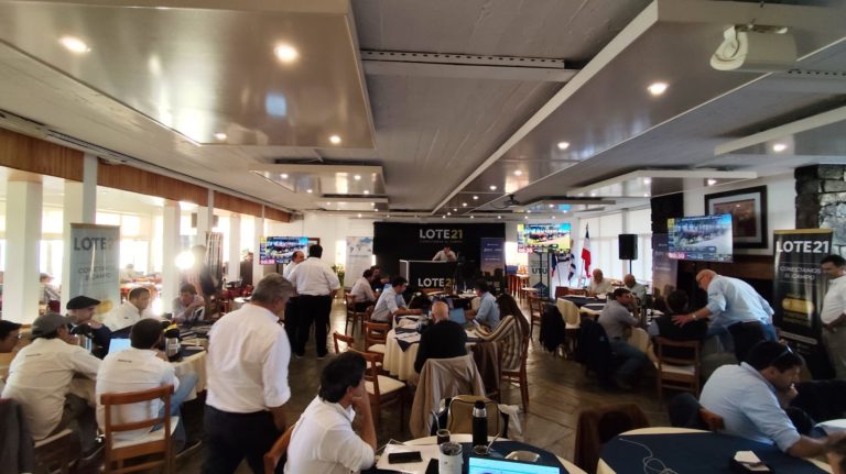 Lee más sobre el artículo El mercado ganadero muestra firmeza y dinamismo