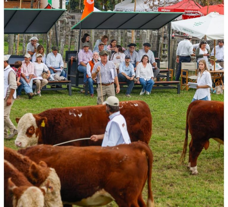 Lee más sobre el artículo Un encuentro de genética, calidad y tradición Hereford en Rocha