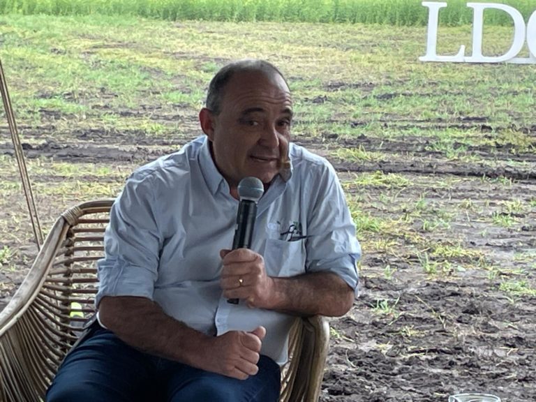 Lee más sobre el artículo Agricultura: mayores costos, cosechas voluminosas y precios débiles