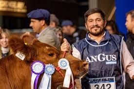 Lee más sobre el artículo La genética del Modelo premiada en la cuna del Angus