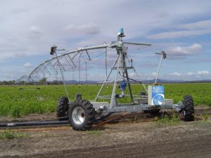 Lee más sobre el artículo La polémica sobre el riego en el campo María Dolores en Florida