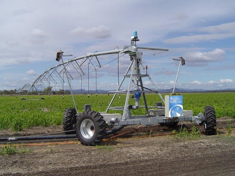 Lee más sobre el artículo La polémica sobre el riego en el campo María Dolores en Florida