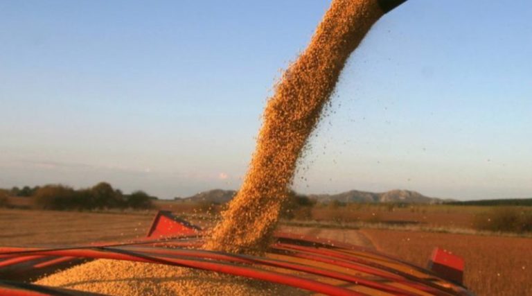 Lee más sobre el artículo La guerra entre Israel e Irán impulsa la volatilidad en los granos y eleva precios de crudo y fertilizantes