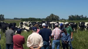 Lee más sobre el artículo Jornada de campo en Florida en el marco del Proyecto REFAS