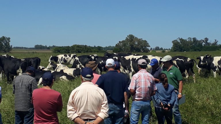 Lee más sobre el artículo Jornada de campo en Florida en el marco del Proyecto REFAS