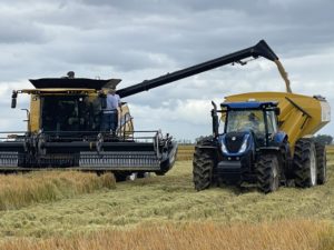 Lee más sobre el artículo Cultivadores de arroz reclaman condiciones para mantener la competitividad