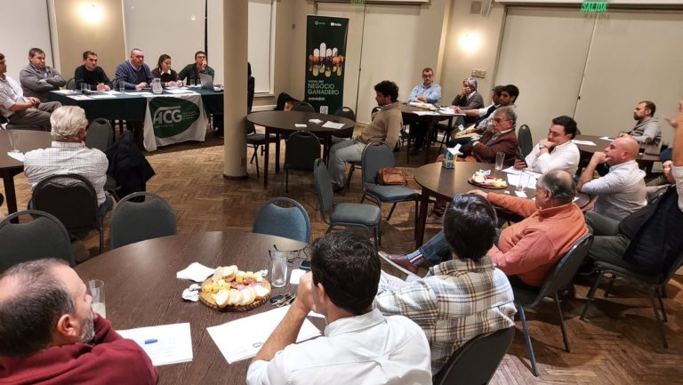 Lee más sobre el artículo Firmeza en el Mercado Ganadero Uruguayo Pese a la Menor Oferta