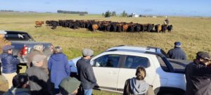 Lee más sobre el artículo La innovación productiva marca rumbo para el futuro del campo