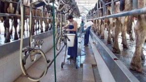 Lee más sobre el artículo El foro 2025 con foco en la competitividad y los desafíos de la cadena