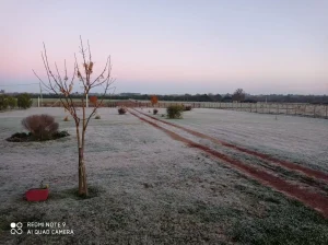 Lee más sobre el artículo Advertencia por ola de frío polar a partir del domingo 29