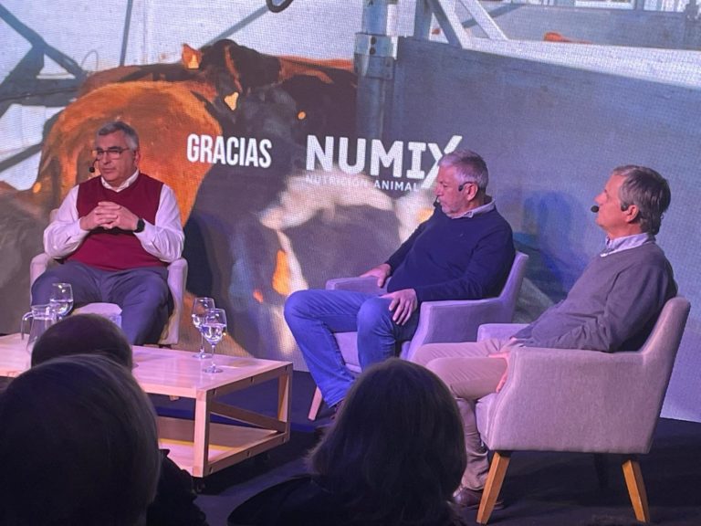 Lee más sobre el artículo La oferta local gana espacio de la mano de la calidad en los segmentos de mayor valor