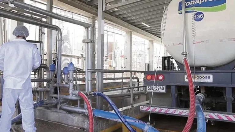 Lee más sobre el artículo La lechería creció 10% en mayo y consolida su recuperación