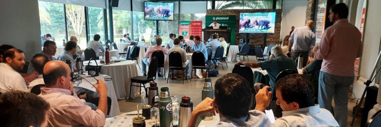 Lee más sobre el artículo Plaza Rural celebra sus 24 años con una venta aniversario que reafirma su liderazgo en el negocio ganadero