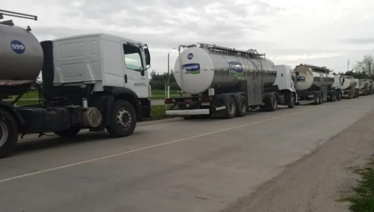 Lee más sobre el artículo Productores de Conaprole se ven obligados a descartar leche por medidas gremiales