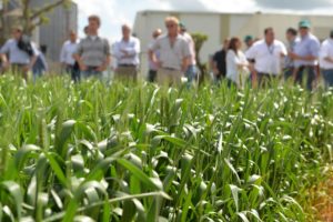 Lee más sobre el artículo Tras los intensos fríos, suben las temperaturas y el agro reactiva el final de las siembras de invierno
