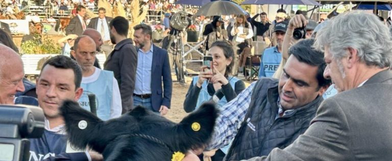 Lee más sobre el artículo Expo Palermo 2025: la genética Angus brilló en una muestra marcada por anuncios del presidente Milei