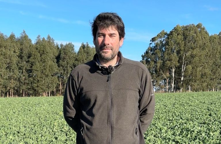Lee más sobre el artículo Sanidad en cultivos de invierno: Andrés Contatore advierte por enfermedades en trigo y cebada y llama a monitorear con rigor