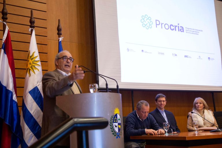 Lee más sobre el artículo Lanzaron el Programa Procría para impulsar la ganadería familiar sostenible en 13 departamentos