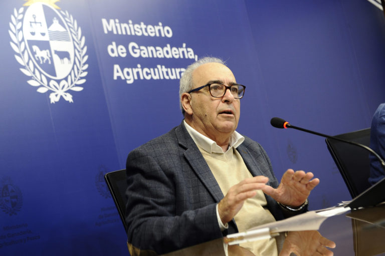 Lee más sobre el artículo Gobierno suspende exportaciones de ganado en pie con destino a faena