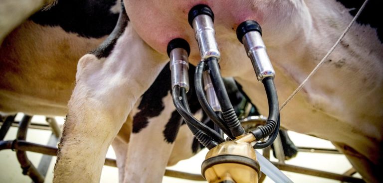 Lee más sobre el artículo Reclaman consolidar la producción lechera ante desafíos estructurales y de mercado