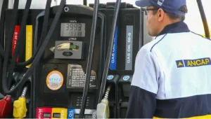 Lee más sobre el artículo El gobierno definió una suba en el precio de los combustibles