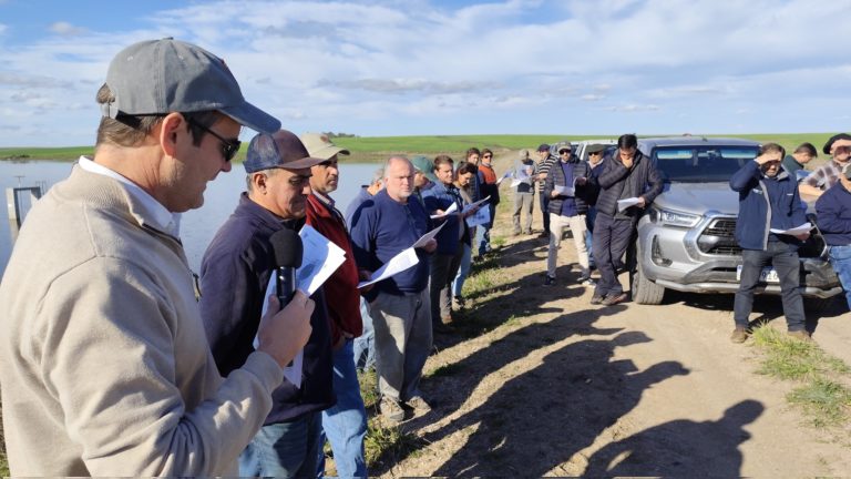Lee más sobre el artículo Jornada de Cultivos y Sistemas en Mercedes: intercambio técnico con recorrida de chacras