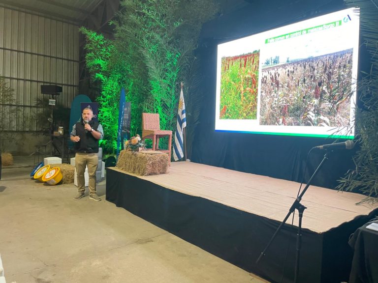 Lee más sobre el artículo Agrofuturo presentó novedades tecnológicas en sorgo en la jornada de Cultivos de Verano de UCAL