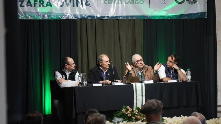 Lee más sobre el artículo Medidas fiscales para aliviar costos del sector ovino: descuento de IVA y derogación del 1 % municipal