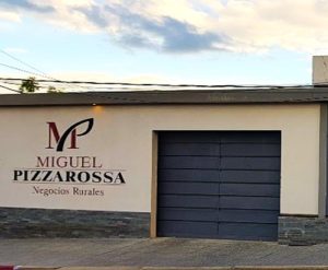 Lee más sobre el artículo Producción de terneros alcanzará 3,2 millones, según operador Miguel Pizzarossa en Salto