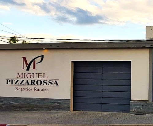 Lee más sobre el artículo Producción de terneros alcanzará 3,2 millones, según operador Miguel Pizzarossa en Salto