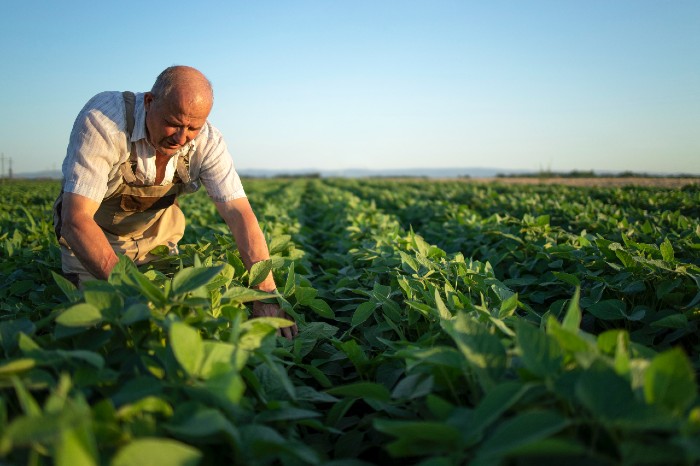 Lee más sobre el artículo Agromedios presentó su revista de cultivos de verano: estrategias, mercados y clima en el centro del análisis