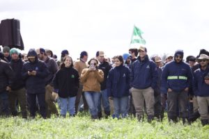 Lee más sobre el artículo Las super pasturas que logran diez años de productividad
