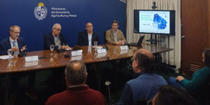 Lee más sobre el artículo Procría: un plan que apunta a potenciar la cría vacuna en el país