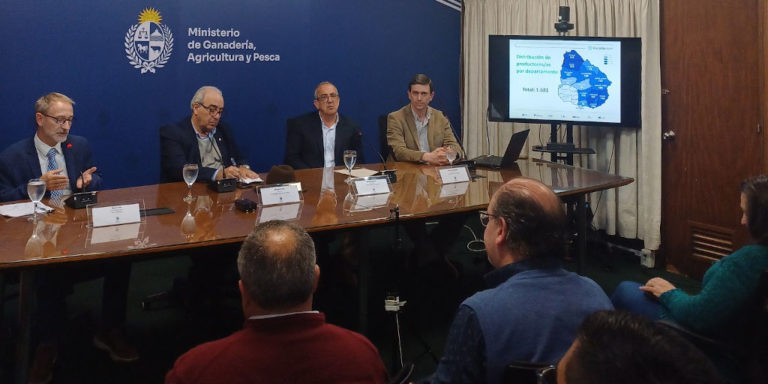 Lee más sobre el artículo Procría: un plan que apunta a potenciar la cría vacuna en el país