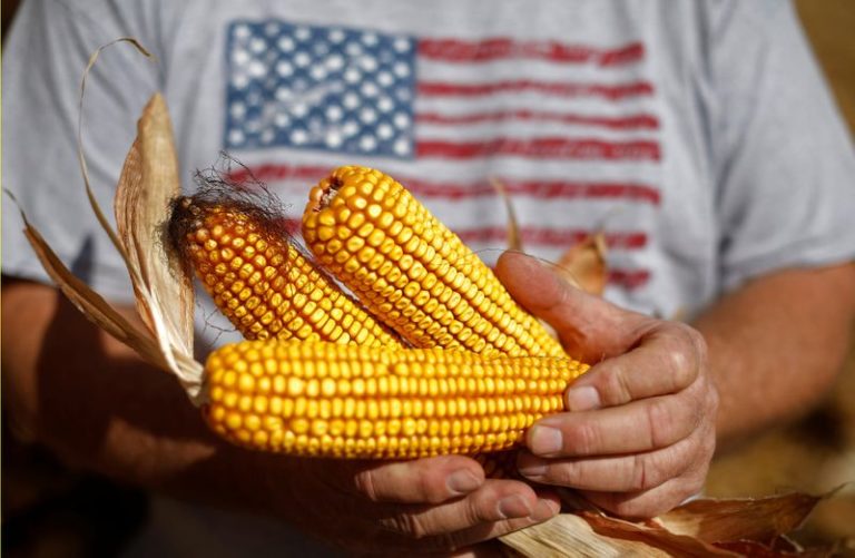 Lee más sobre el artículo Mercado agrícola: China ausente, EE.UU. bajo presión y el clima como gran incógnita