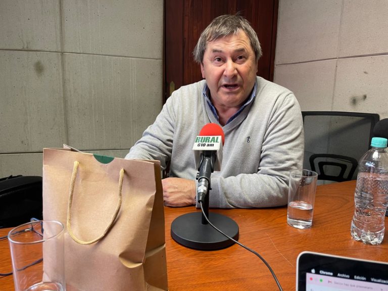 Lee más sobre el artículo Mercado ganadero: estabilidad en la faena y firmeza en los valores
