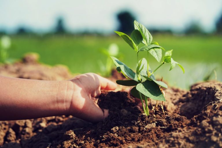 Lee más sobre el artículo Uruguay celebró el Día del Ingeniero Agrónomo con foco en la innovación y el futuro del agro
