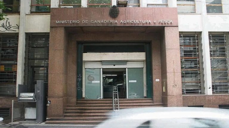 Lee más sobre el artículo Funcionarios del MGAP mantienen conflicto gremial por reclamos laborales